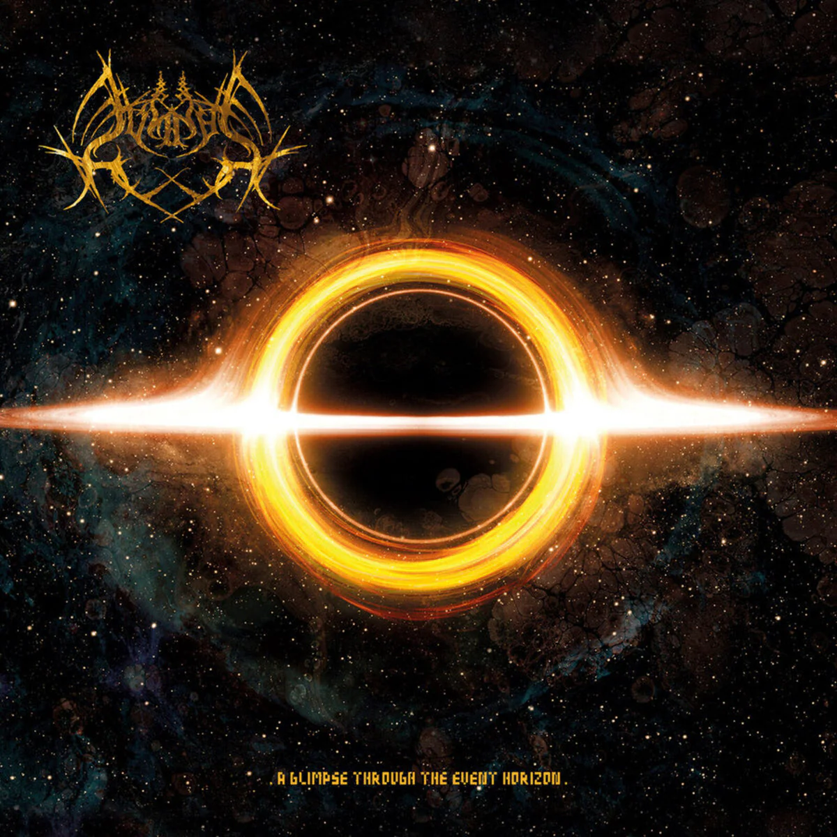 A Glimpse through The Event Horizon