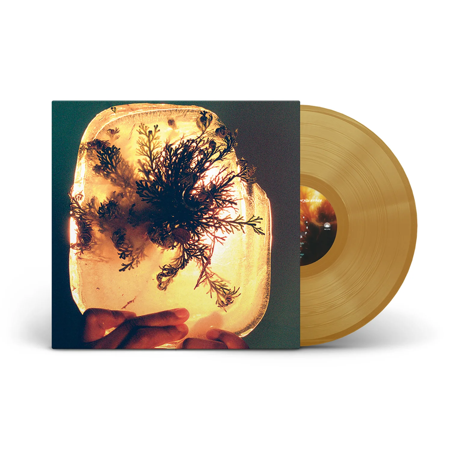 fata morgana - Image 2