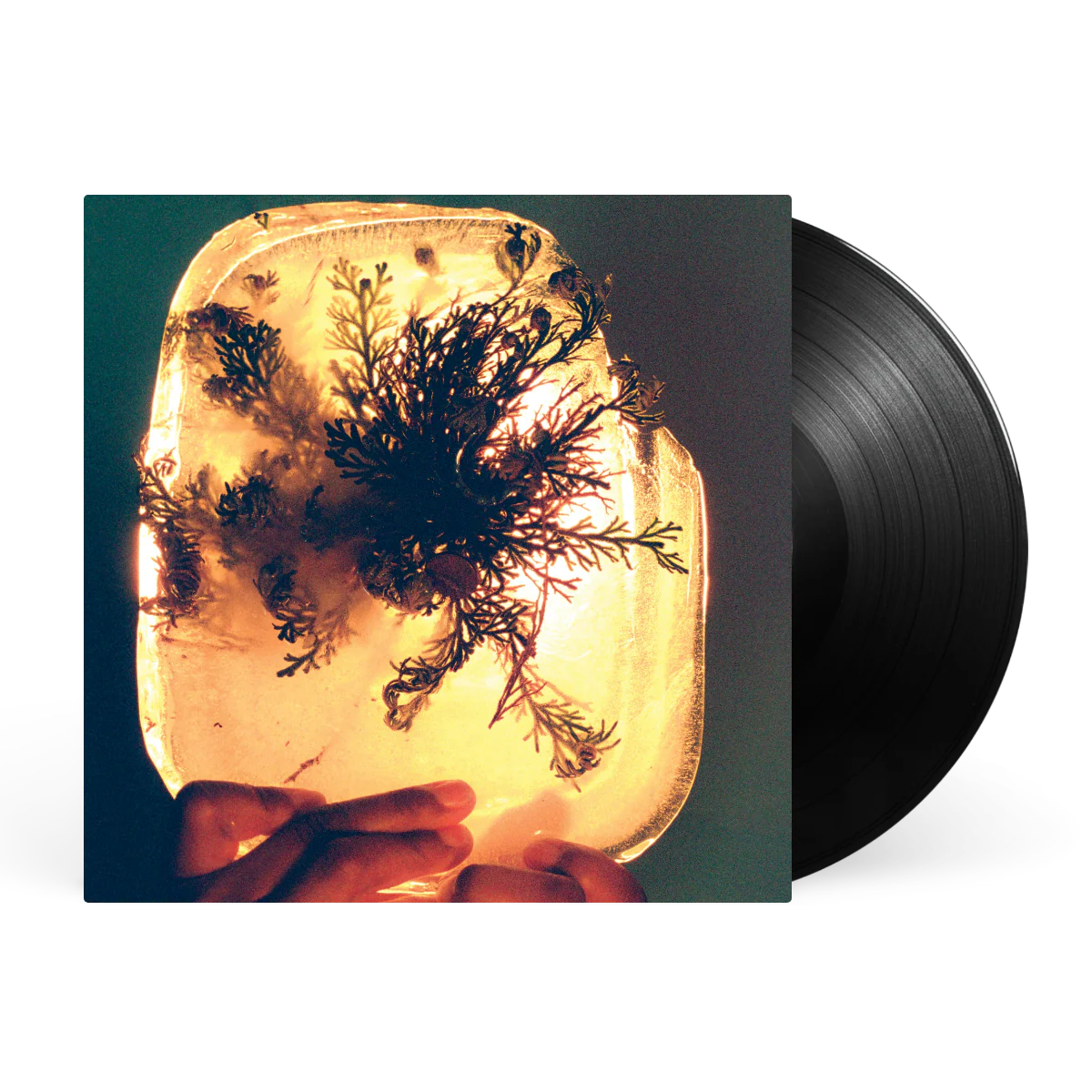 fata morgana - Image 3